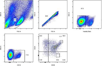 Altered Tim-1 and IL-10 Expression in Regulatory B Cell Subsets in Type 1 Diabetes